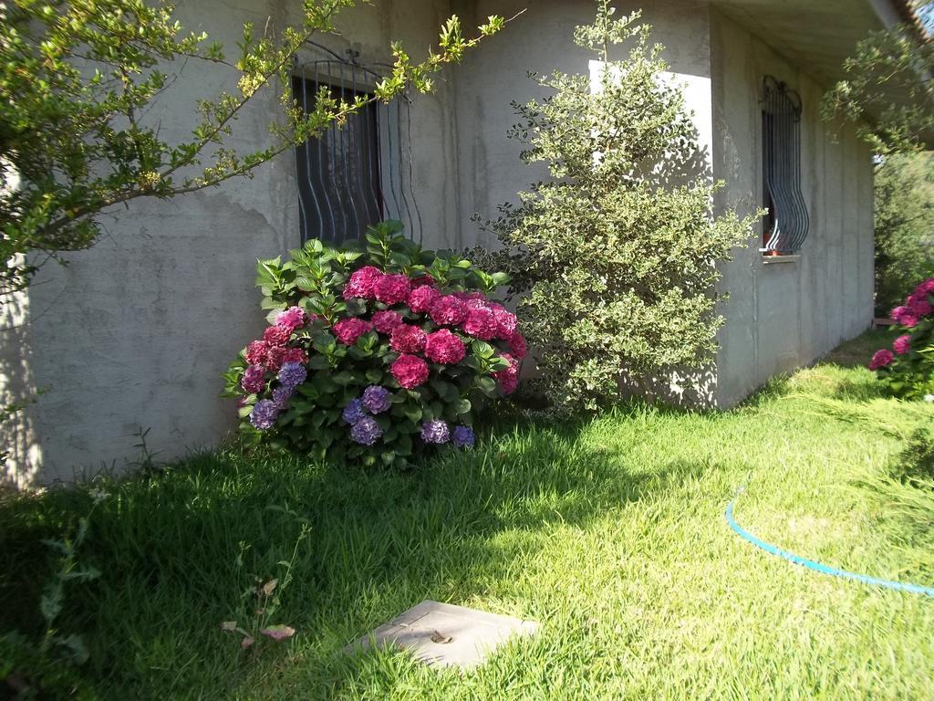 Il Vecchioliveto Di Ornella Bed & Breakfast Marrubiu Room photo