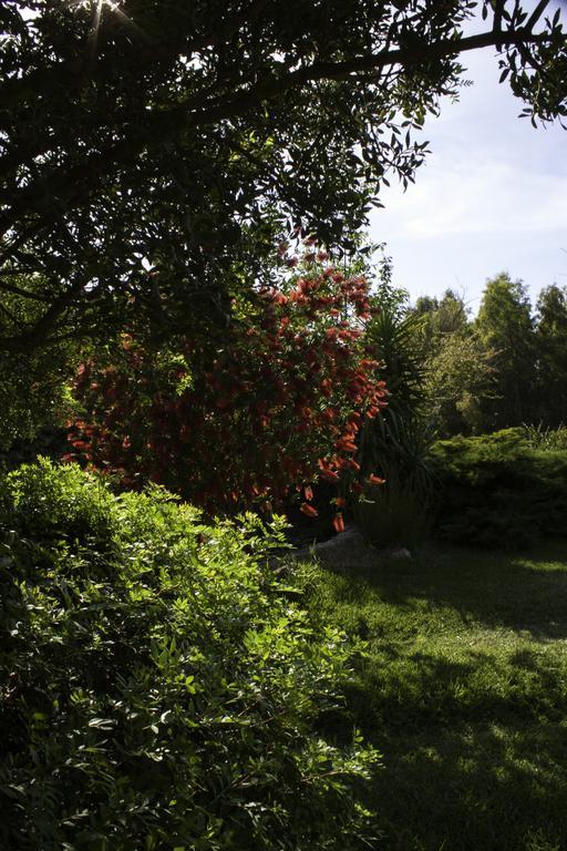 Il Vecchioliveto Di Ornella Bed & Breakfast Marrubiu Exterior photo