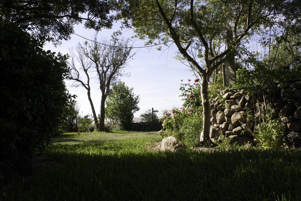 Il Vecchioliveto Di Ornella Bed & Breakfast Marrubiu Exterior photo