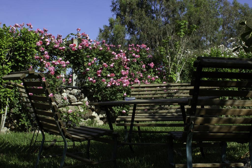 Il Vecchioliveto Di Ornella Bed & Breakfast Marrubiu Exterior photo