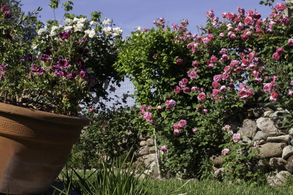 Il Vecchioliveto Di Ornella Bed & Breakfast Marrubiu Exterior photo