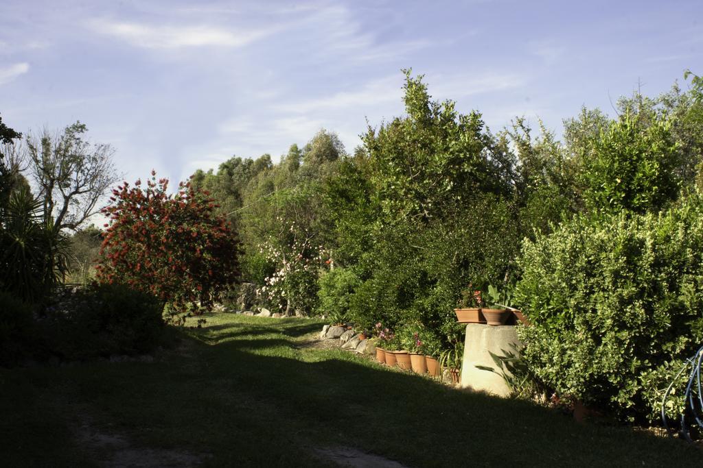 Il Vecchioliveto Di Ornella Bed & Breakfast Marrubiu Exterior photo