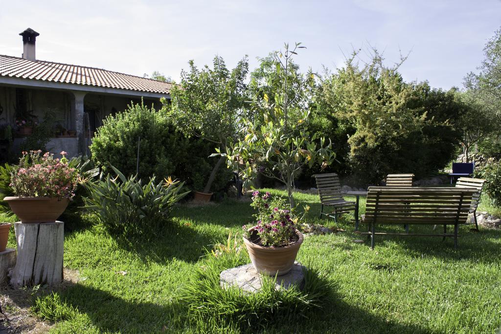 Il Vecchioliveto Di Ornella Bed & Breakfast Marrubiu Exterior photo