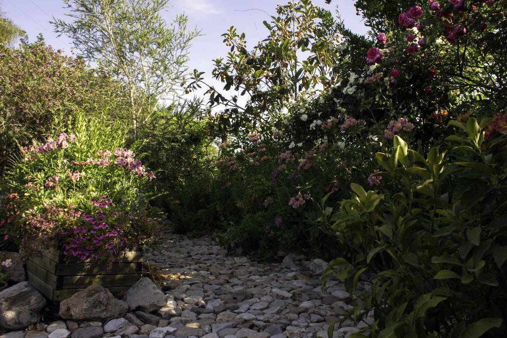 Il Vecchioliveto Di Ornella Bed & Breakfast Marrubiu Exterior photo